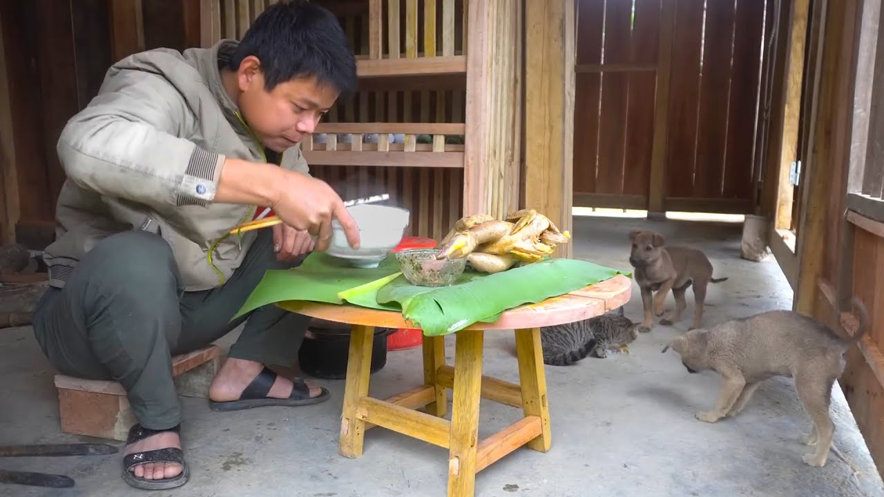 CEO Challenge Build Round Wooden Dining Table & Low Chair  Make Drunken Stone Crush Corn & Rice