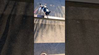 Full 9571. Long lead over rail over re-cue over under x2 skatepark Esplanade 18 Aug 2026 AK Update