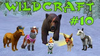 WildCraft Симулятор жизни зверей Онлайн #10 Идем на медведя WildCraft Симулятор жизни зверей Онлайн #10 Идем на медведя