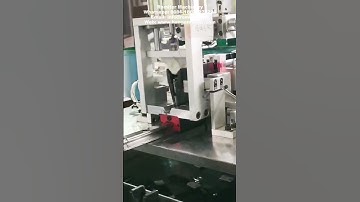 Automatic Hanger Hook Inserting and Clip Assembling Machine