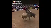 Valdevino Neitzel
