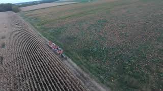 Quick Pumpkin Patch Flight