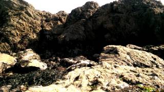 Time Lapse Panorama Hope Cove Low tide on the rocks