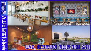 두바이코리아TV(정보편) 애견동반이 가능한 카페 소개  Dubai KoreaTV#두바이​​​​​​​#uae​​​​​​​#dubai​​​​​​​#아부다비​​​​​​​#abudhabi