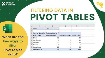 FILTERING PIVOT TABLE DATA IN EXCEL BY EXCEL IN A MINUTE
