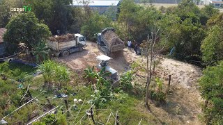 Wonderful! Techniques Land filling DX45M HITACHI Dozer Pour soil Complete Backyard With Dump trucks