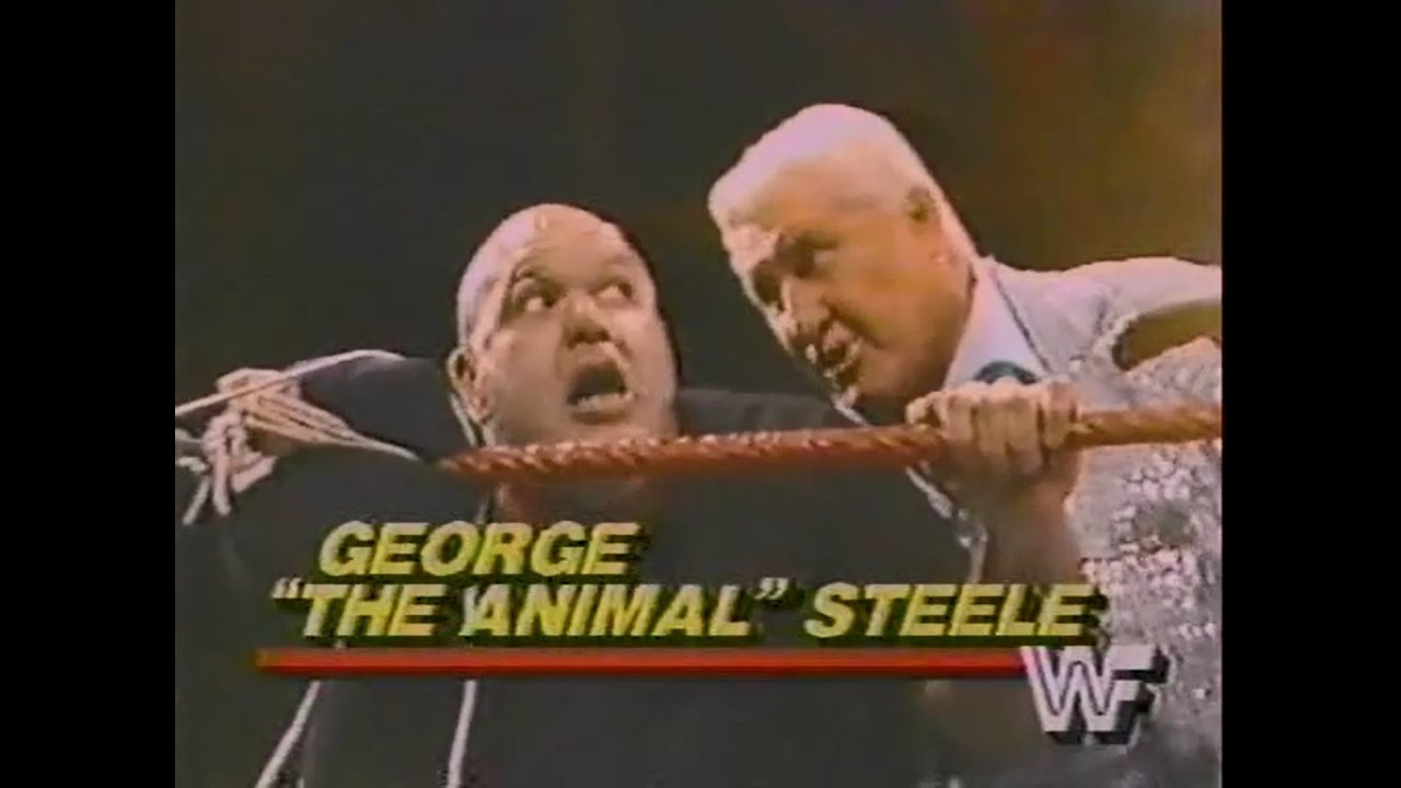 Iron Sheik, Nikolai Volkoff, & Steele in action Championship