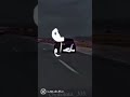 اغنية نعرفكم واحد واحد اغنية نعرفكم واحد واحد