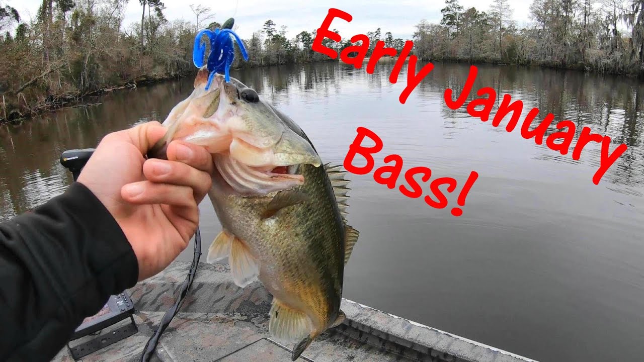 Louisiana Bass Fishing in January...Ethan doing his thing! YouTube