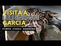 Visita a Luis Enrique García - PIMVS Coatl Breeder Criadero de serpientes