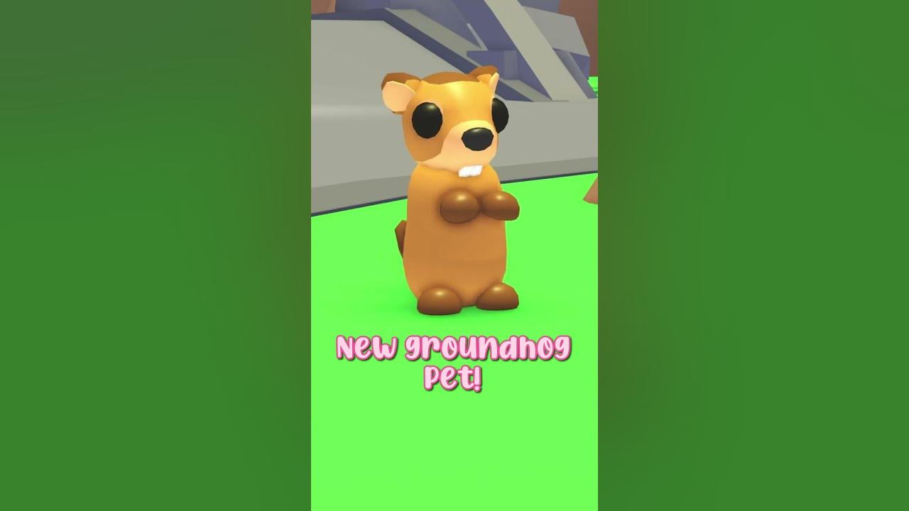 NEW GROUNDHOG PET!! #shorts #fypシ #adoptme #update - YouTube
