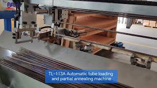 TL-113A Automatic tube loading and annealing machine