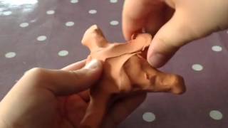 ✔️How to make a morph!{3}