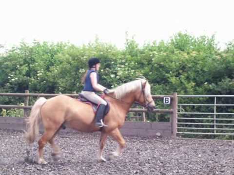 Woodside Riding Chool Woodside Riding Lesson - 26th June & 3rd July ♥ - YouTube