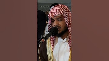 ما تيسر من سورة الأنعام || هيثم الدخين