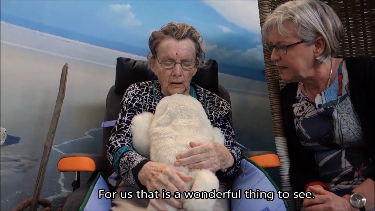 Een dag met Edo, de interactieve zeehond