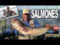 Programa 86 MDQ-Team Tv | SALMONES Y KAYAK FISHING