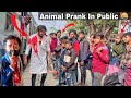 Animal full movie prank   arbars entry  sari duniya jala dege  funny prank 2023  ritik jaiswal