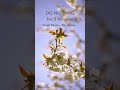 Do Nothing for 5 Minutes — Reset Your Mind & Energy #positiveenergy