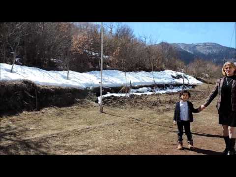 ხეოთის სკოლის მოსწავლეებს ძალადობის წინააღმდეგ მომზადებული ვიდეორგოლისთვის სიგელი გადაეცათ