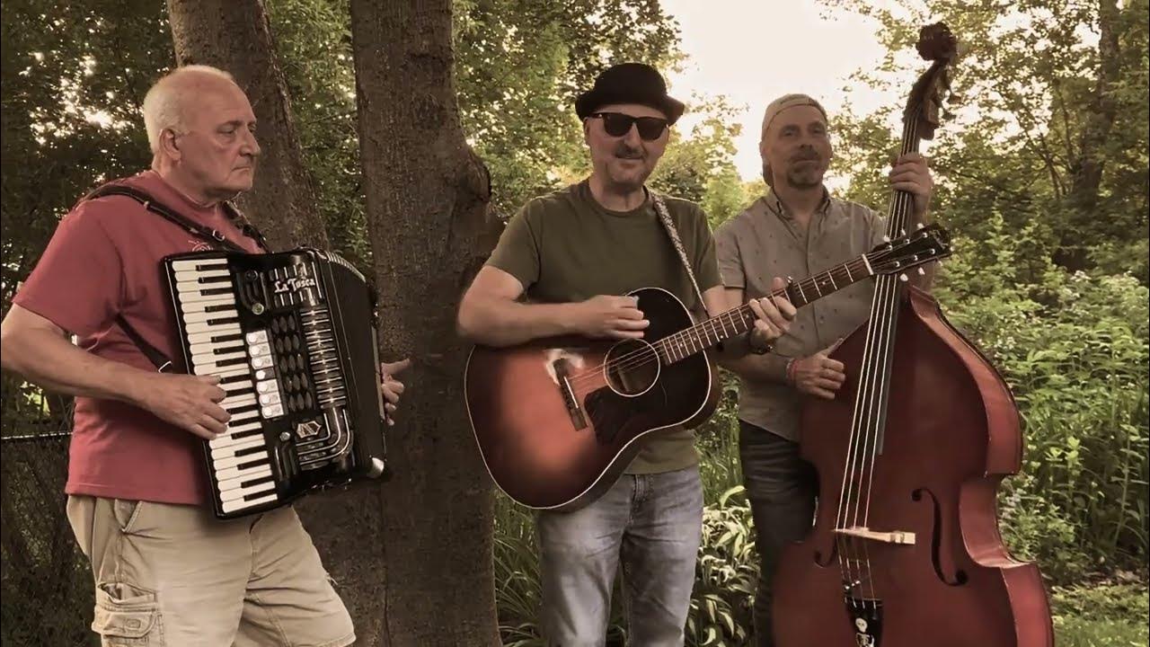 BIRDS AREN'T REAL by The Insolent Willies - YouTube