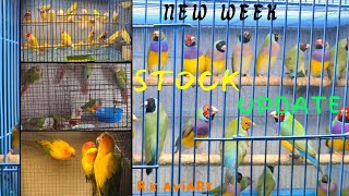 New STOCKS OF Radha Krishna Aviary || Parrot finches || Jhandiya conure || Sunconure|| Blue gouldian
