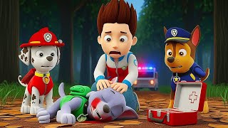 Download Lagu Oh no Way! Please Wake Up Rocky!? - Paw Patrol Ultimate Rescue | Rainbow 3 MP3 Download Lagu Oh no Way! Please Wake Up Rocky!? - Paw Patrol Ultimate Rescue | Rainbow 3 MP3