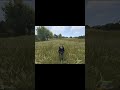 Волки хотят мой эсс #rust #memes #rustclips #раст #мем #shorts