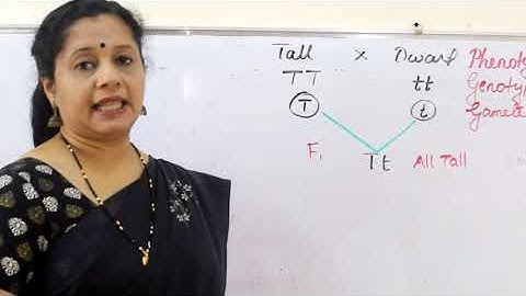 CLASS10: HEREDITY : (MALAYALAM) SINGLE VIDEO
