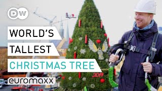 Climbing The World’s Tallest “Natural” Christmas Tree in Dortmund | Quirky Customs