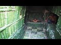 Build Secret House Bamboo Underground​ And Wells Water in House