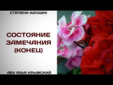 115. Состояние замечания || Абу Яхья Крымский