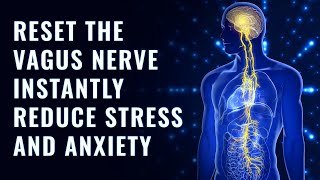 Instant Vagus Nerve Stimulation Music 528 Hz Frequency | Heart Repair and Treatment Sound Therapy