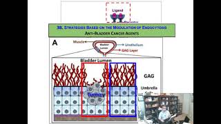 Novel Anti-Bladder Cancer Therapeutics