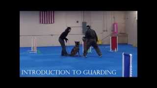 IPO Barking, Gripping, and Long Bites - Mico