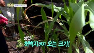 정글의법칙 2013-09-27 #6(6)
