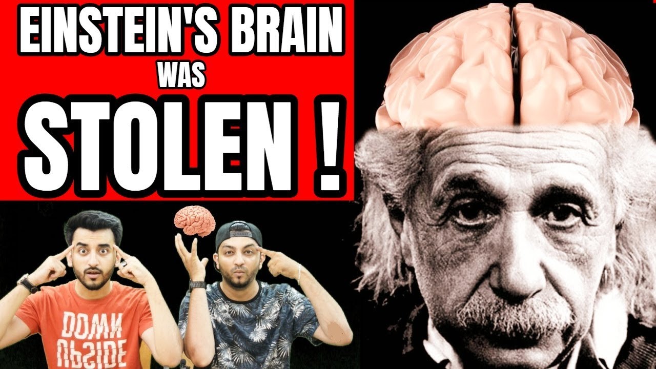 Mystery of Einstein's Brain STOLEN & CHOPPED UP! (Hindi Urdu) | TBV ...