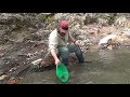 BIG GOLD ON THE AMERICAN RIVER!!!!  APR 7, 2019.