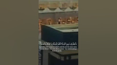 تلاوة للشيخ سعود الشريم #mecca #اكسبلور #quran #لايك #shuraim #القرآن #دويتو #ترند #duet #تيك_توك