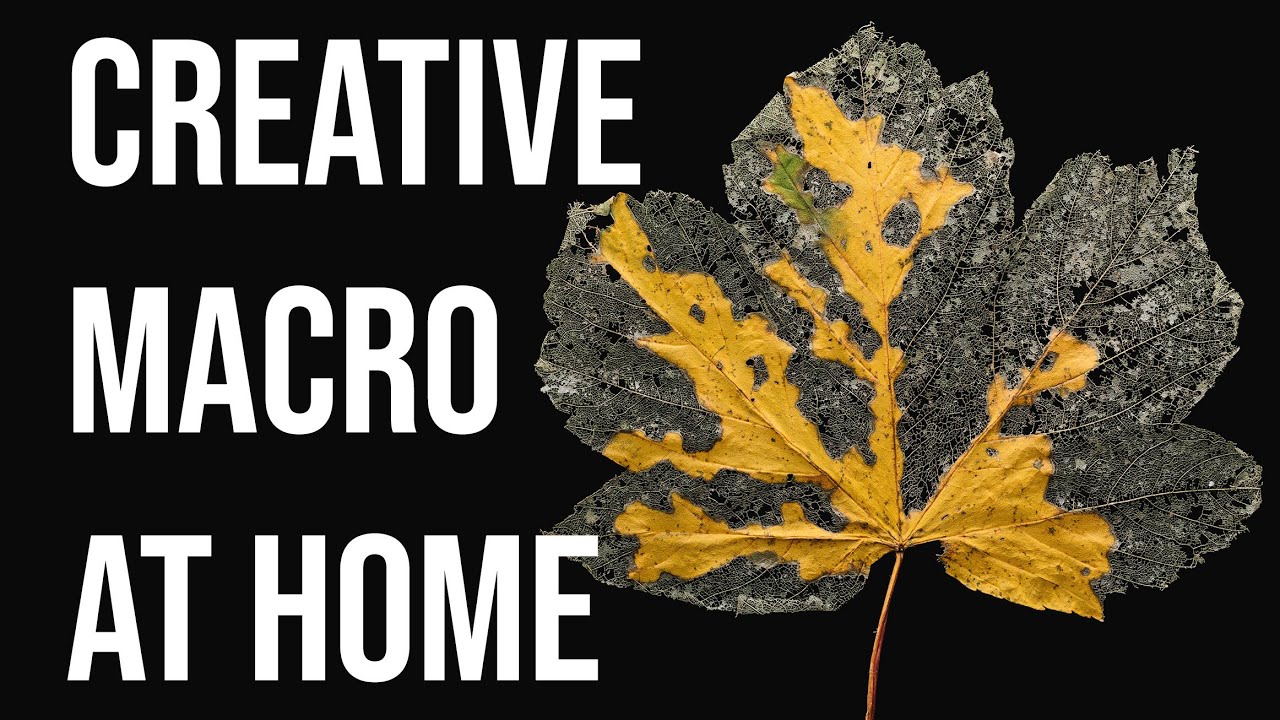 Попробуйте эту простую идею макроса дома (урок с освещением и настройками)