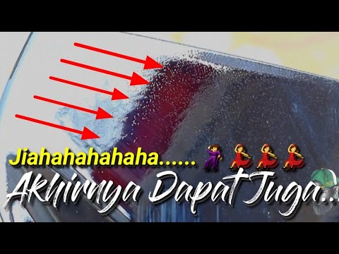 Video: Kapan bintik matahari terangkat?