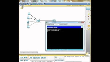 Using the ping command
