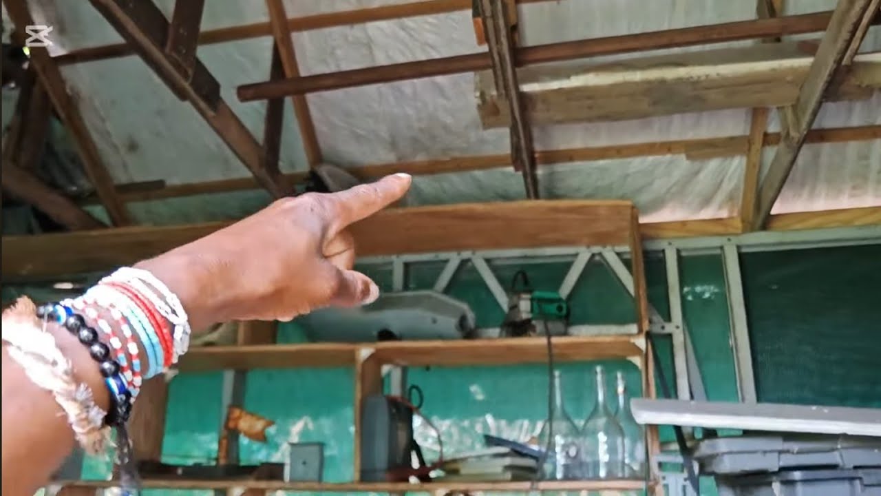 Толстая Черная Мамба в итоге застревает!