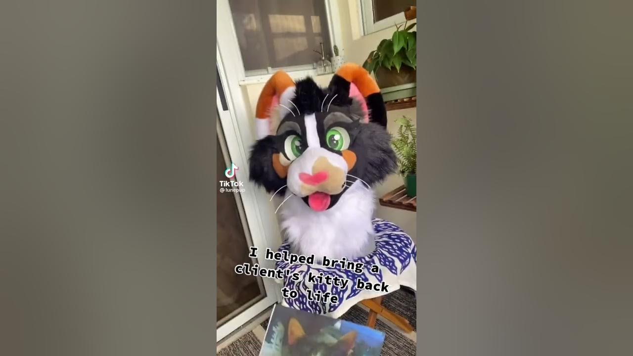 (Clean) Fursuit making TikTok’s! 2 YouTube