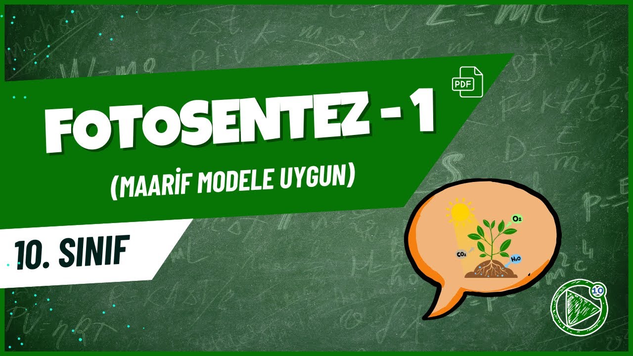 Fotosentez - 1 | 10. Sınıf Biyoloji Konu Anlatımı | 2025- 2026
