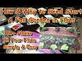 Start Your Fall Garden in Seed Flats: All the Basic Steps to Save Money, Save Time, & Avoid Problems