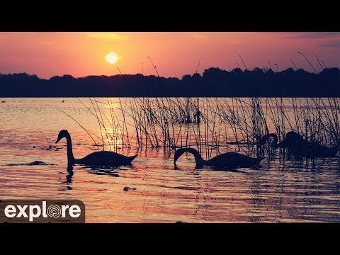 Naknek River | Highlights