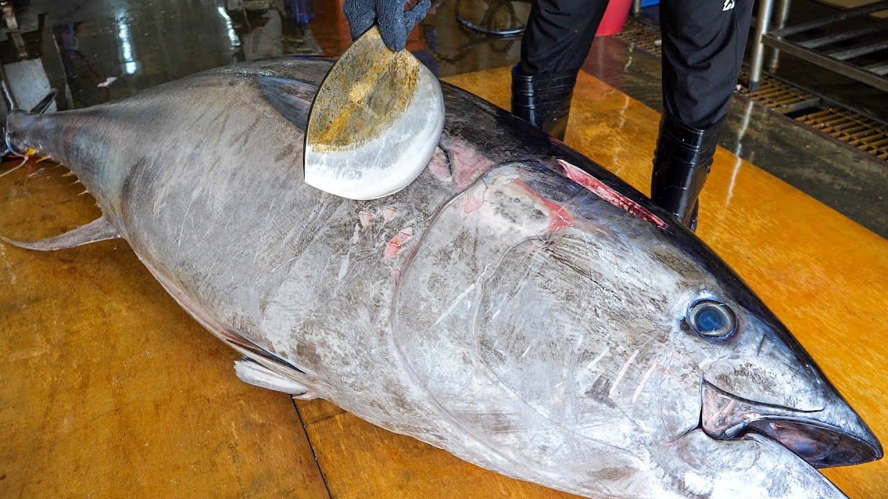 ⁣$10,000 Giant bluefin tuna cutting in Taiwan, Luxurious sashimi / 鋒利的刀！巨大黑鮪魚切割技巧, 奢華黑鮪魚金三角