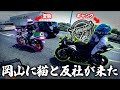 【※今回は平和です】岡山にフリスタとねこかずくんが来たゾ