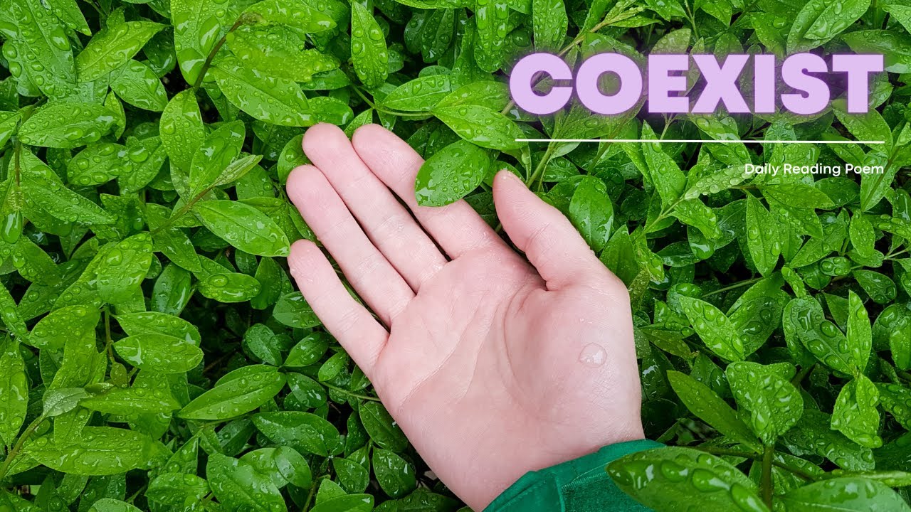 Coexist |  Beautiful Meditation Poetry 